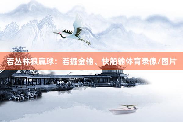 若丛林狼赢球：若掘金输、快船输体育录像/图片