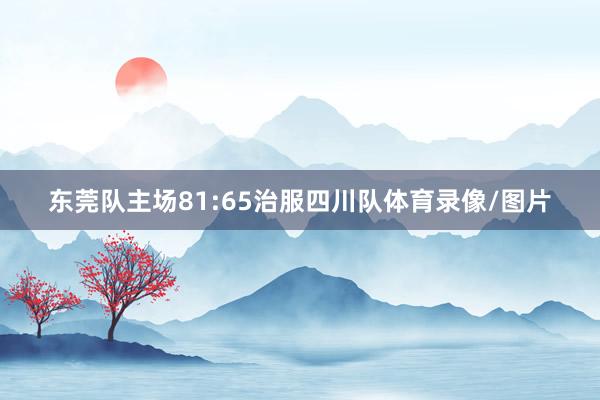 东莞队主场81:65治服四川队体育录像/图片