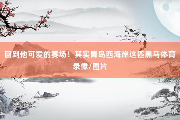 回到他可爱的赛场！其实青岛西海岸这匹黑马体育录像/图片