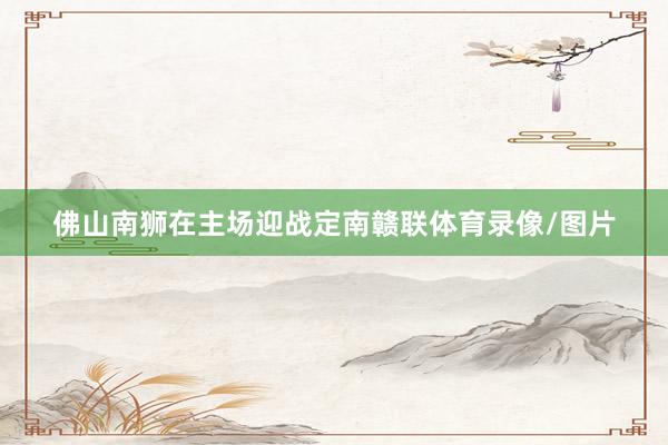 佛山南狮在主场迎战定南赣联体育录像/图片