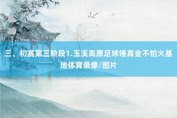 三、初赛第三阶段1.玉溪高原足球锤真金不怕火基地体育录像/图片