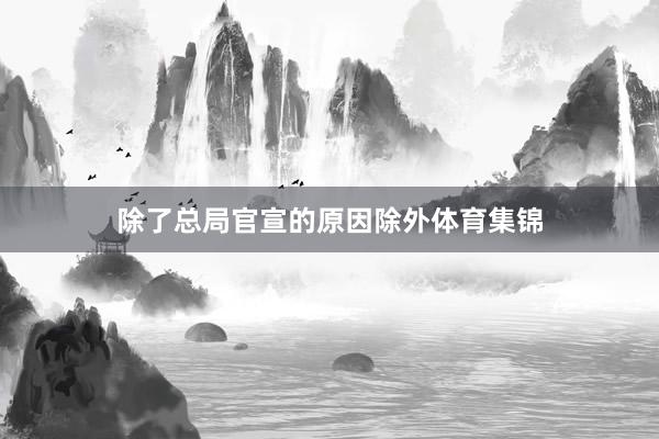 除了总局官宣的原因除外体育集锦