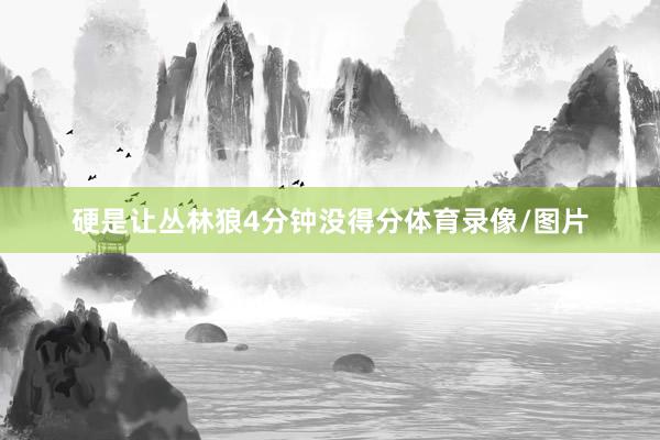 硬是让丛林狼4分钟没得分体育录像/图片