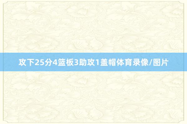 攻下25分4篮板3助攻1盖帽体育录像/图片