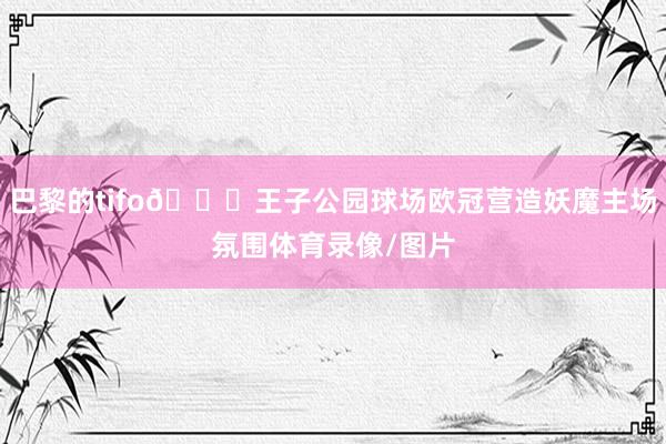 巴黎的tifo👀王子公园球场欧冠营造妖魔主场氛围体育录像/图片