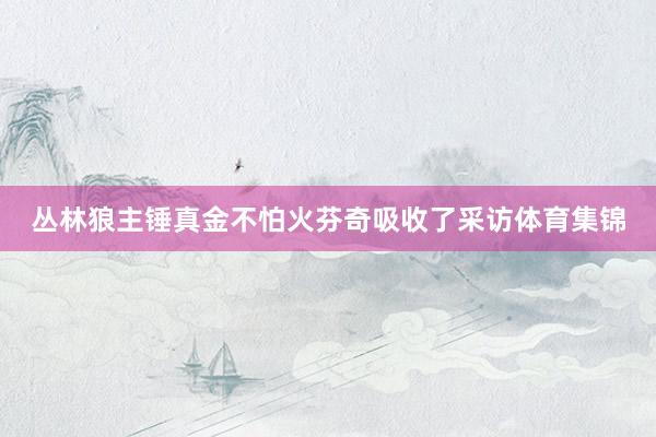 丛林狼主锤真金不怕火芬奇吸收了采访体育集锦