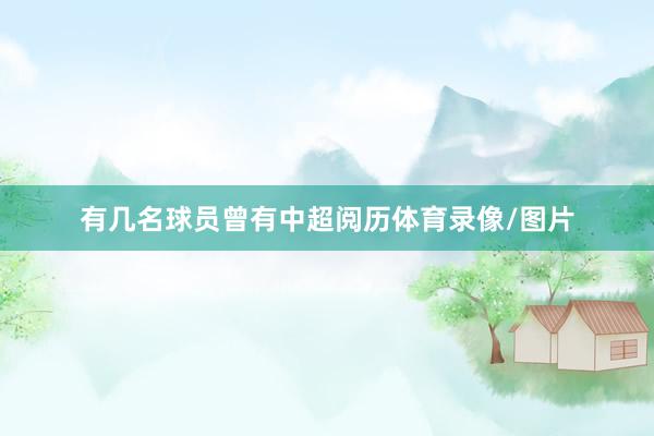 有几名球员曾有中超阅历体育录像/图片