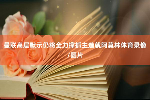 曼联高层默示仍将全力撑抓主造就阿莫林体育录像/图片