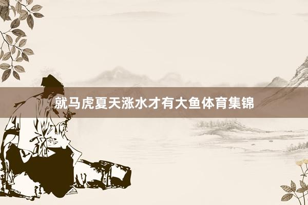 就马虎夏天涨水才有大鱼体育集锦