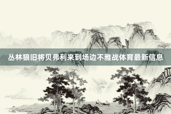 丛林狼旧将贝弗利来到场边不雅战体育最新信息