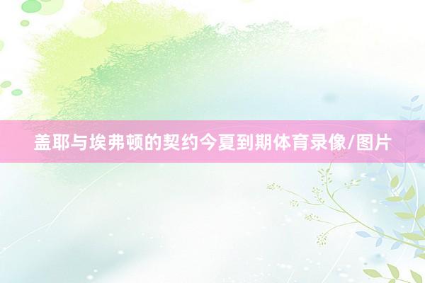 盖耶与埃弗顿的契约今夏到期体育录像/图片