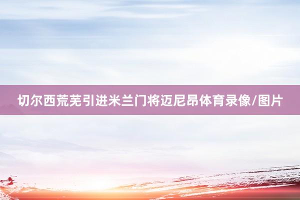 切尔西荒芜引进米兰门将迈尼昂体育录像/图片