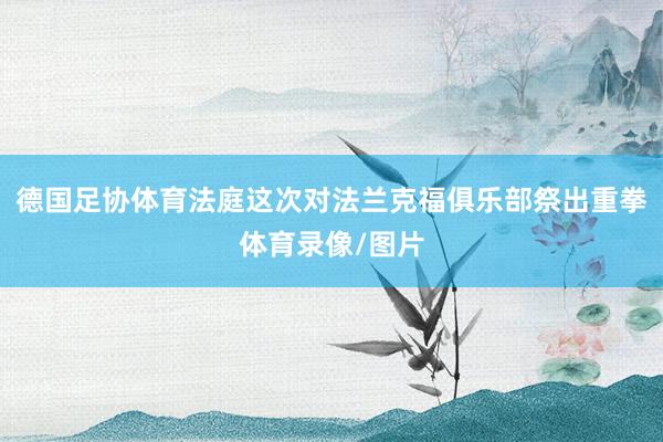 德国足协体育法庭这次对法兰克福俱乐部祭出重拳体育录像/图片