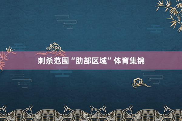 刺杀范围“肋部区域”体育集锦