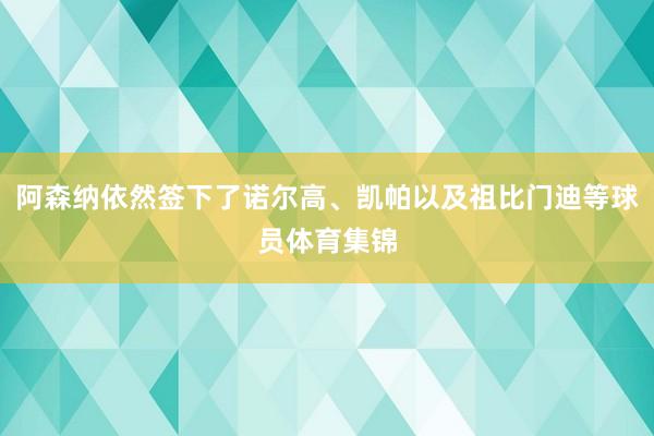 阿森纳依然签下了诺尔高、凯帕以及祖比门迪等球员体育集锦