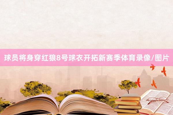 球员将身穿红狼8号球衣开拓新赛季体育录像/图片