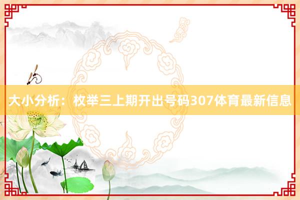 大小分析：枚举三上期开出号码307体育最新信息