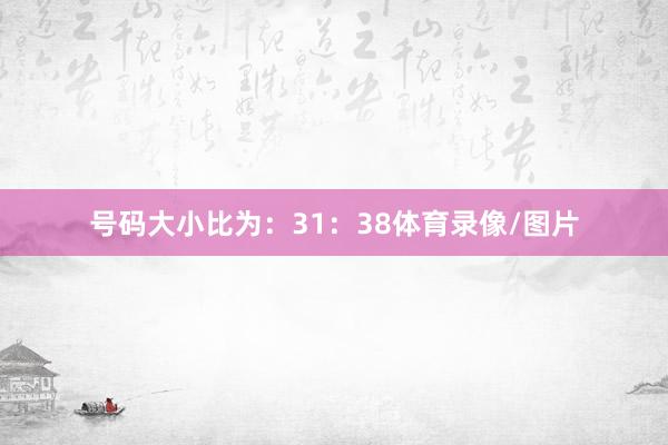 号码大小比为：31：38体育录像/图片