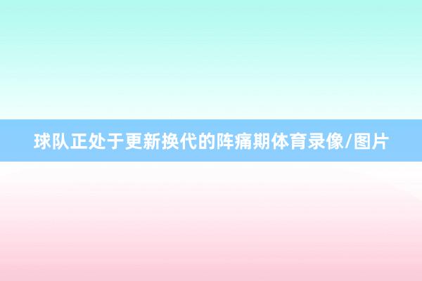 球队正处于更新换代的阵痛期体育录像/图片