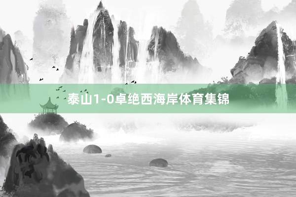 泰山1-0卓绝西海岸体育集锦
