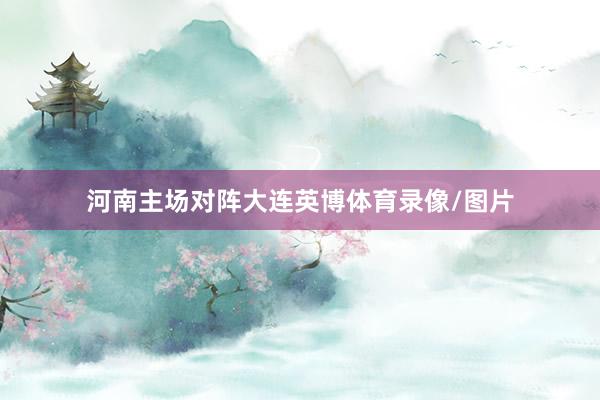 河南主场对阵大连英博体育录像/图片