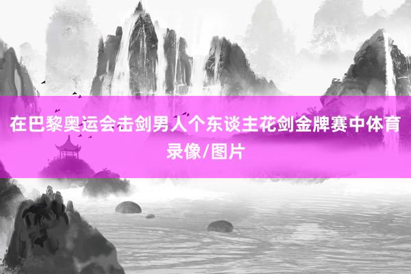 在巴黎奥运会击剑男人个东谈主花剑金牌赛中体育录像/图片