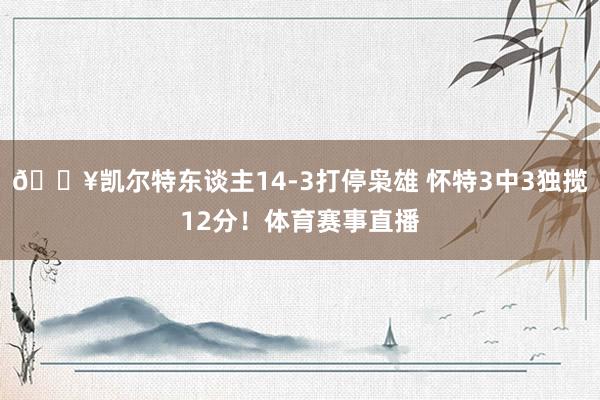 💥凯尔特东谈主14-3打停枭雄 怀特3中3独揽12分！体育赛事直播