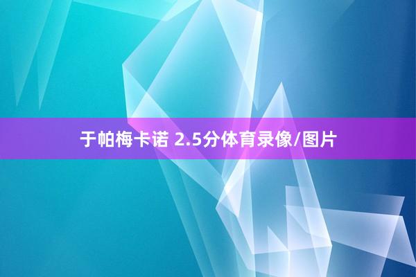 于帕梅卡诺 2.5分体育录像/图片