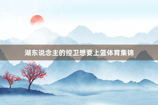 湖东说念主的控卫想要上篮体育集锦