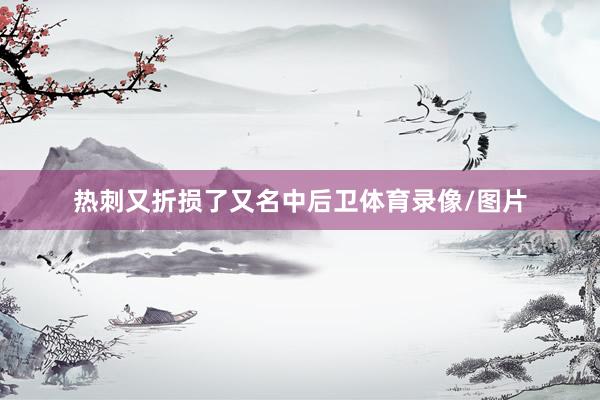 热刺又折损了又名中后卫体育录像/图片